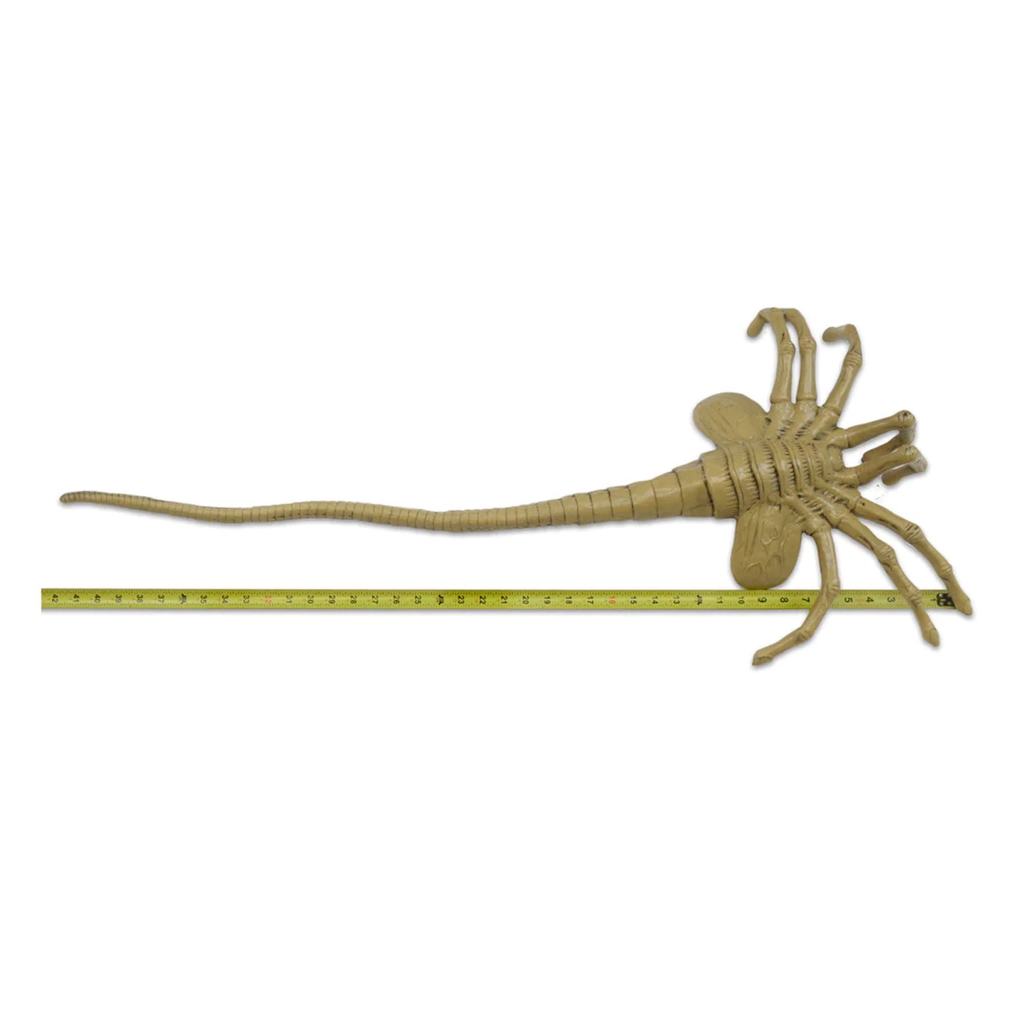 Life-Size Facehugger Aliens Foam Replica NECA