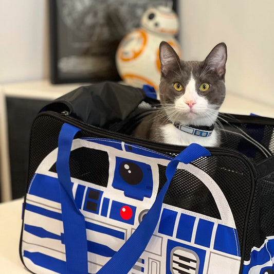 R2-D2 (Star Wars) Soft Pet Carrier