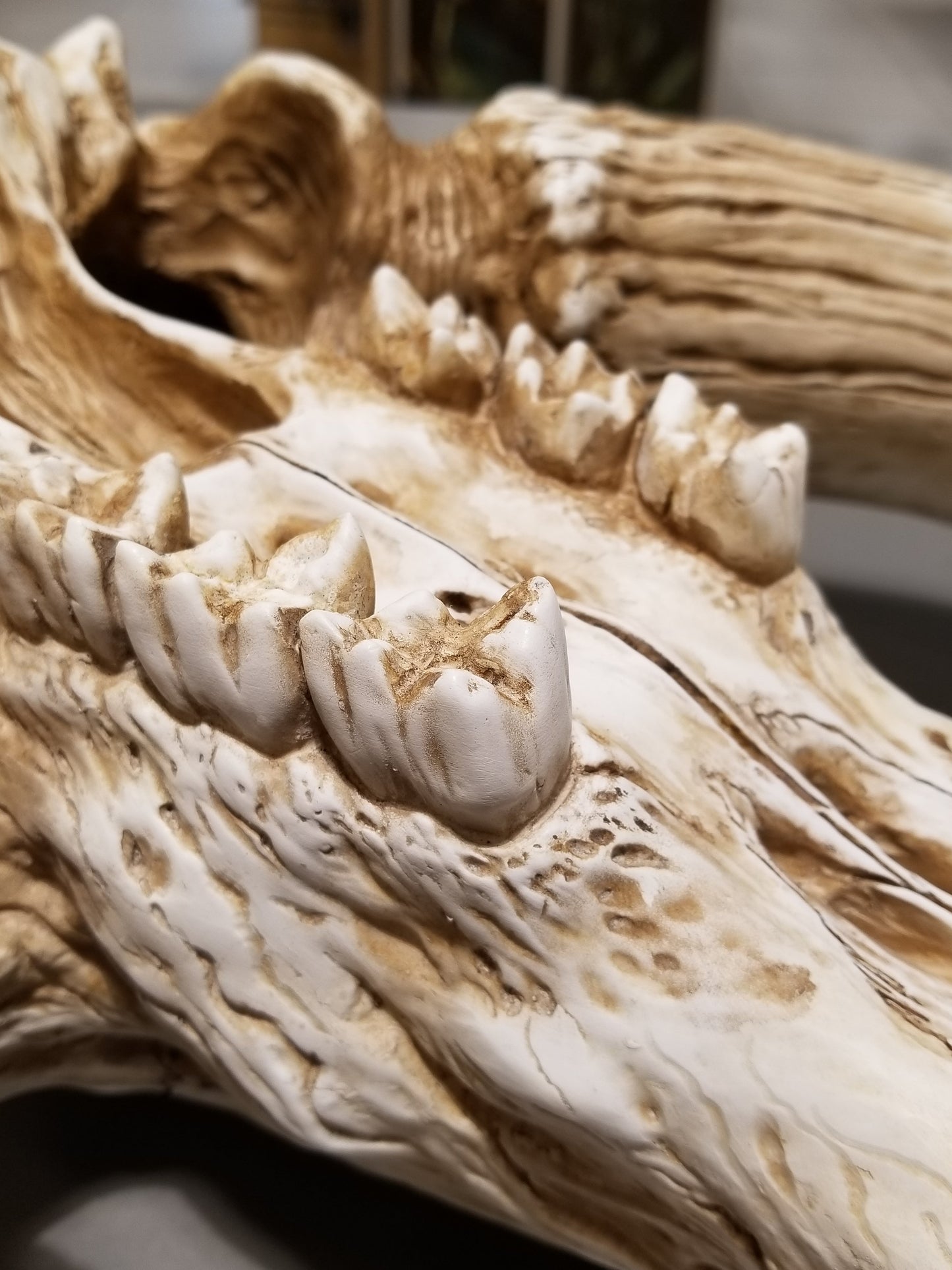 Star Wars The Mandalorian Mythosaur Skull 17" Replica Wall Sculpture