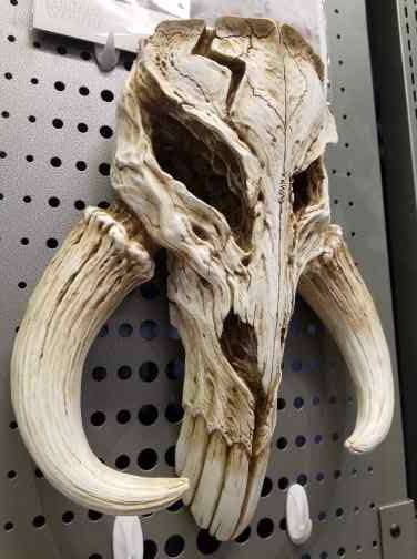 Star Wars The Mandalorian Mythosaur Skull 17" Replica Wall Sculpture