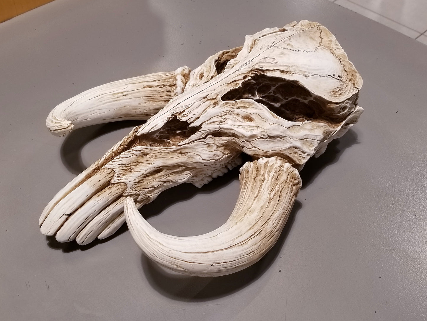 Star Wars The Mandalorian Mythosaur Skull 17" Replica Wall Sculpture