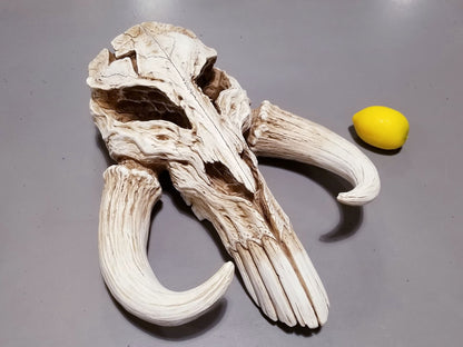 Star Wars The Mandalorian Mythosaur Skull 17" Replica Wall Sculpture
