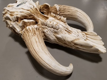 Star Wars The Mandalorian Mythosaur Skull 17" Replica Wall Sculpture