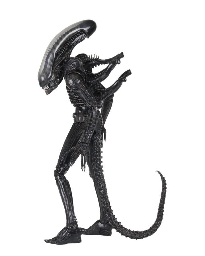Alien - Big Chap 1/4 Scale NECA Action Figure
