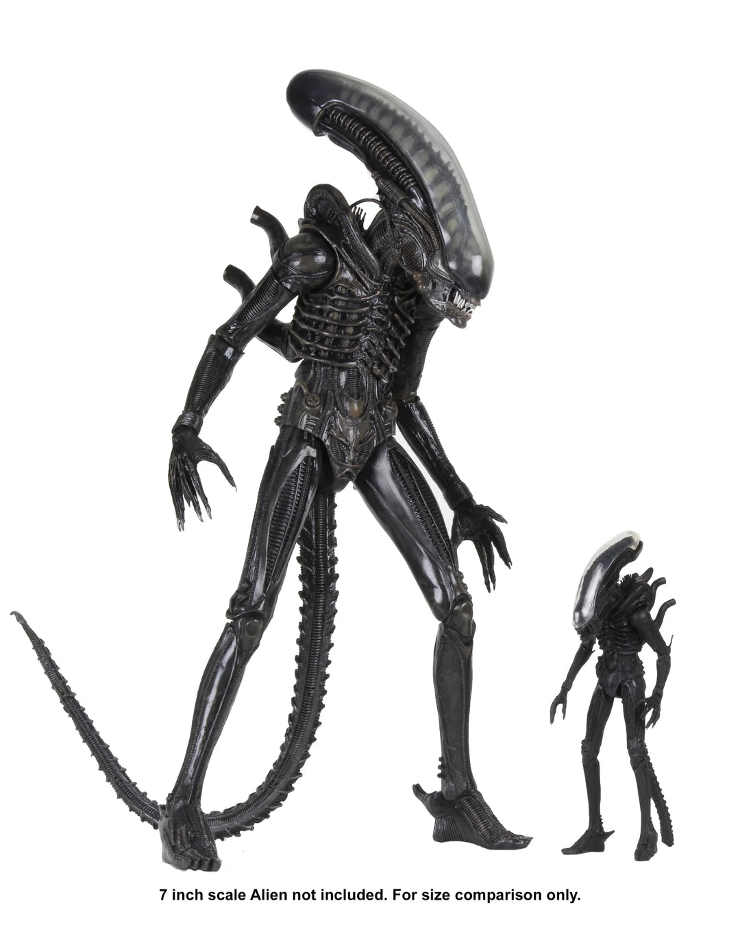 Alien - Big Chap 1/4 Scale NECA Action Figure