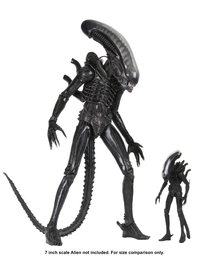 Alien - Big Chap 1/4 Scale NECA Action Figure