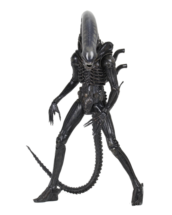 Alien - Big Chap 1/4 Scale NECA Action Figure