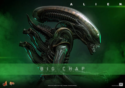 *Pre-Order* Alien Big Chap Sixth Scale Figure by Hot Toys