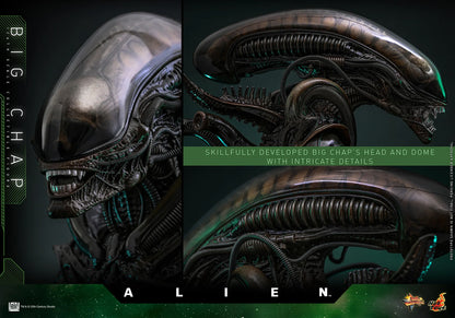 *Pre-Order* Alien Big Chap Sixth Scale Figure by Hot Toys