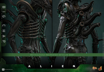 *Pre-Order* Alien Big Chap Sixth Scale Figure by Hot Toys