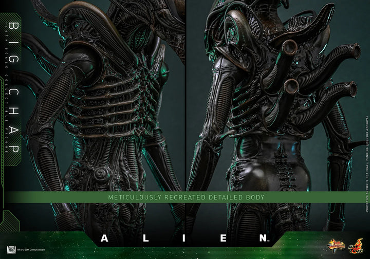 *Pre-Order* Alien Big Chap Sixth Scale Figure by Hot Toys