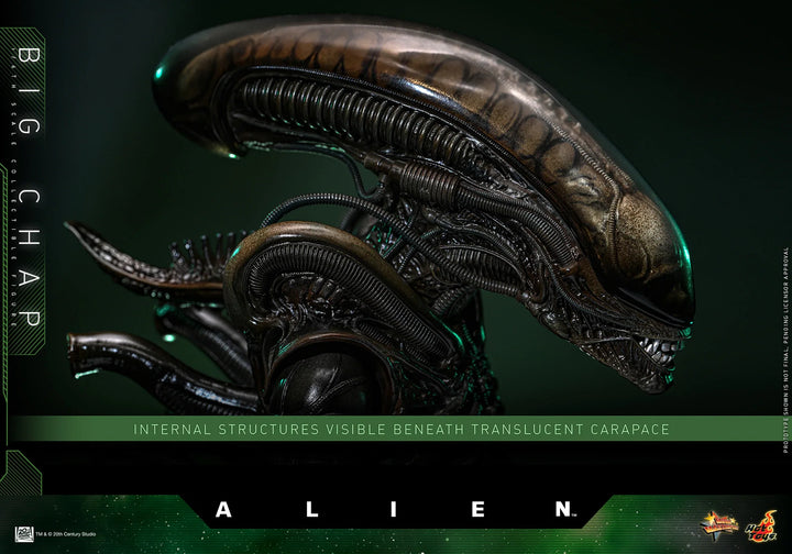 *Pre-Order* Alien Big Chap Sixth Scale Figure by Hot Toys