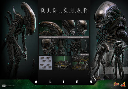 *Pre-Order* Alien Big Chap Sixth Scale Figure by Hot Toys