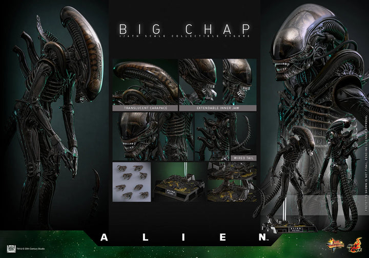 *Pre-Order* Alien Big Chap Sixth Scale Figure by Hot Toys