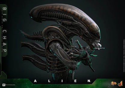 *Pre-Order* Alien Big Chap Sixth Scale Figure by Hot Toys
