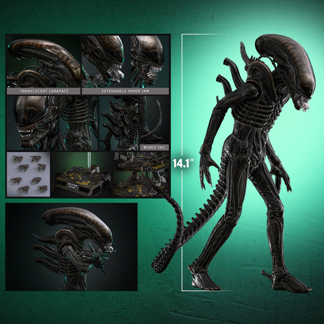 *Pre-Order* Alien Big Chap Sixth Scale Figure by Hot Toys