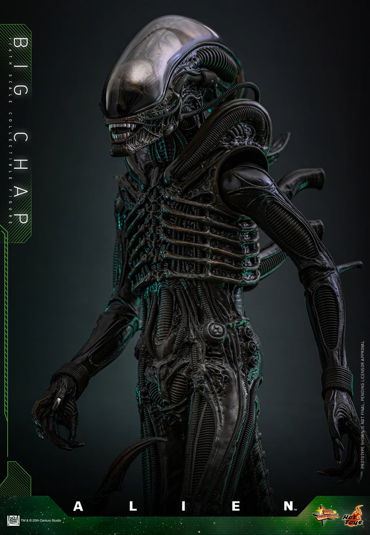 *Pre-Order* Alien Big Chap Sixth Scale Figure by Hot Toys