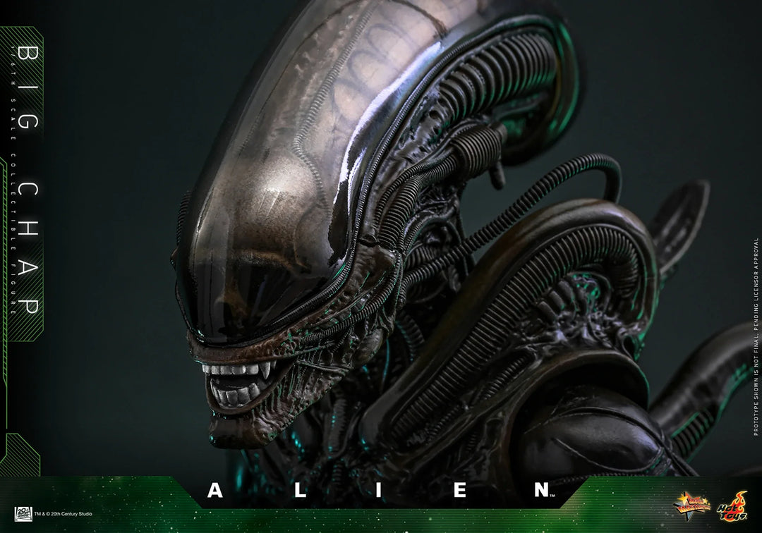 *Pre-Order* Alien Big Chap Sixth Scale Figure by Hot Toys