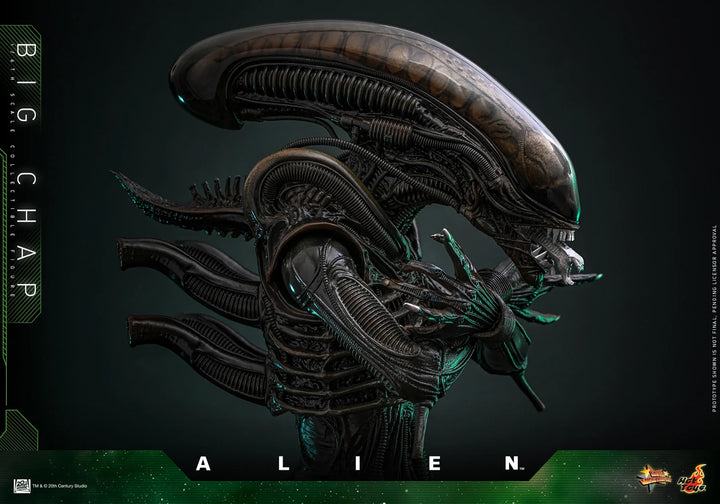 *Pre-Order* Alien Big Chap Sixth Scale Figure by Hot Toys
