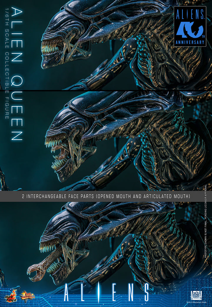 *Pre-Order* Alien Queen (Aliens) Sixth Scale Figure by Hot Toys