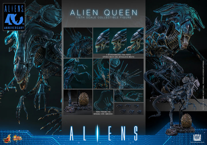 *Pre-Order* Alien Queen (Aliens) Sixth Scale Figure by Hot Toys