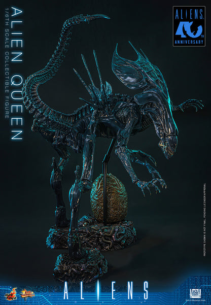 *Pre-Order* Alien Queen (Aliens) Sixth Scale Figure by Hot Toys