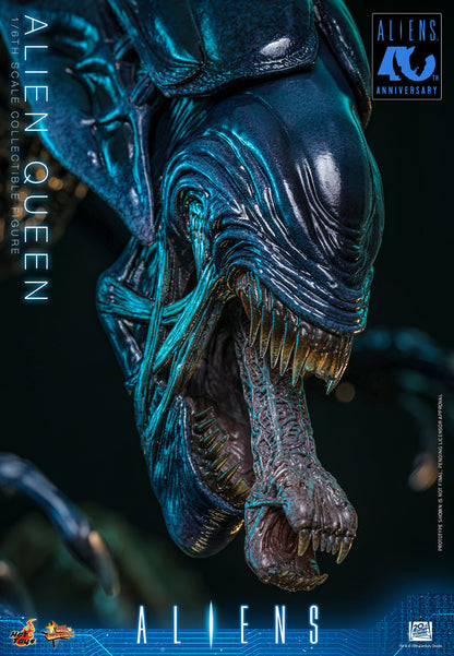 *Pre-Order* Alien Queen (Aliens) Sixth Scale Figure by Hot Toys