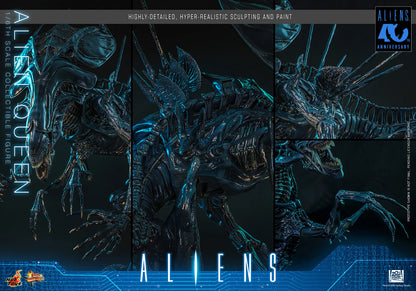 *Pre-Order* Alien Queen (Aliens) Sixth Scale Figure by Hot Toys