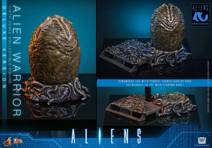 *Pre-Order* Aliens - Alien Warrior (Deluxe Version) Sixth Scale Figure by Hot Toys