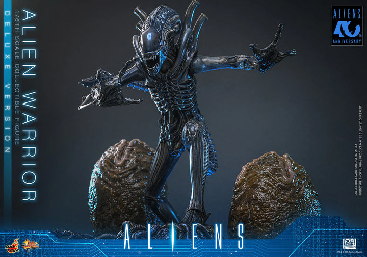 *Pre-Order* Aliens - Alien Warrior (Deluxe Version) Sixth Scale Figure by Hot Toys