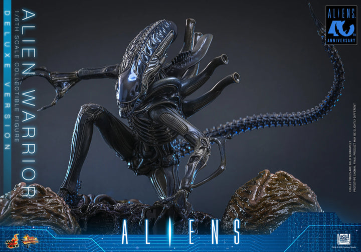 *Pre-Order* Aliens - Alien Warrior (Deluxe Version) Sixth Scale Figure by Hot Toys