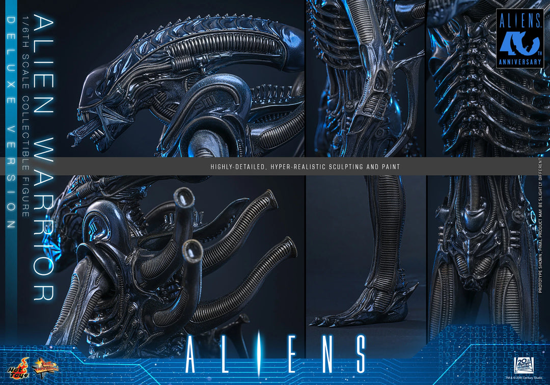 *Pre-Order* Aliens - Alien Warrior (Deluxe Version) Sixth Scale Figure by Hot Toys