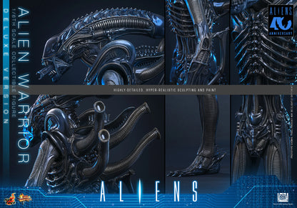 *Pre-Order* Aliens - Alien Warrior (Deluxe Version) Sixth Scale Figure by Hot Toys