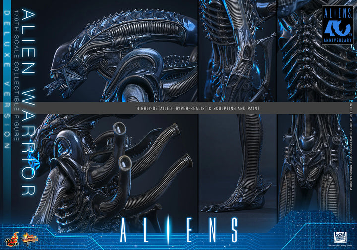 *Pre-Order* Aliens - Alien Warrior (Deluxe Version) Sixth Scale Figure by Hot Toys