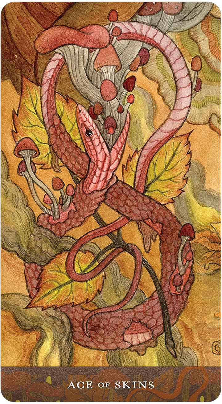 Blood Moon Tarot Deck and Guidebook