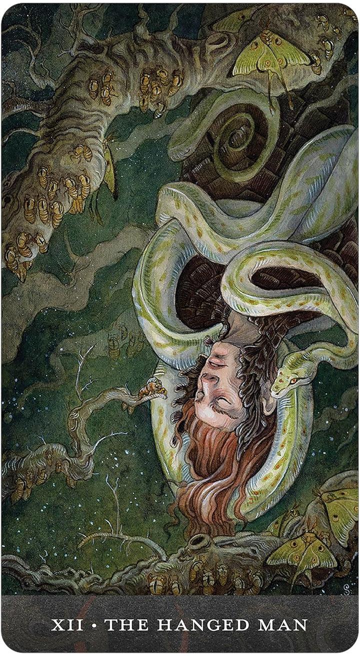 Blood Moon Tarot Deck and Guidebook