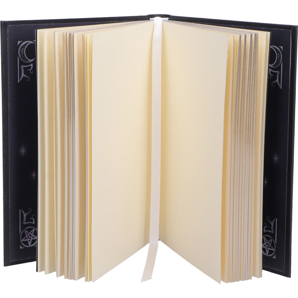 Cult Cuties Purrah Witch Cat Notebook Journal