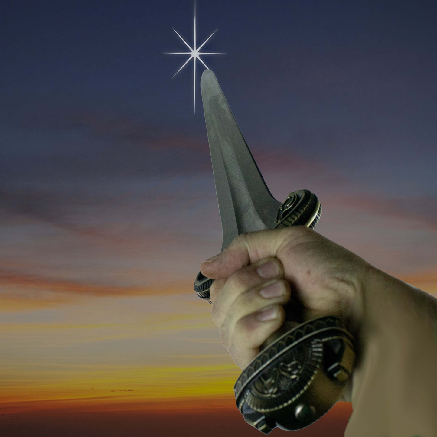 Lord of the Rings Eowyn Rohan Sword Stainless Steel Replica