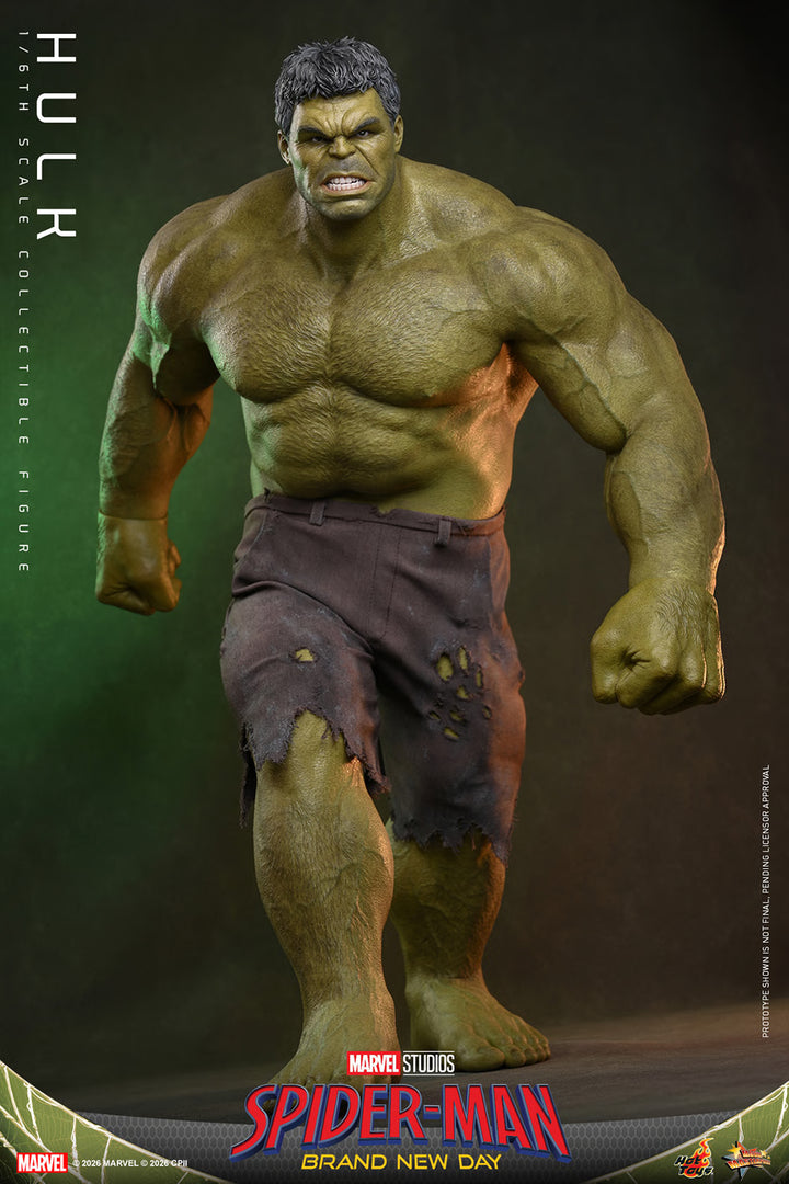 *Pre-Order* Hulk (Spider-Man: Brand New Day) Marvel Sixth Scale Figure by Hot Toys