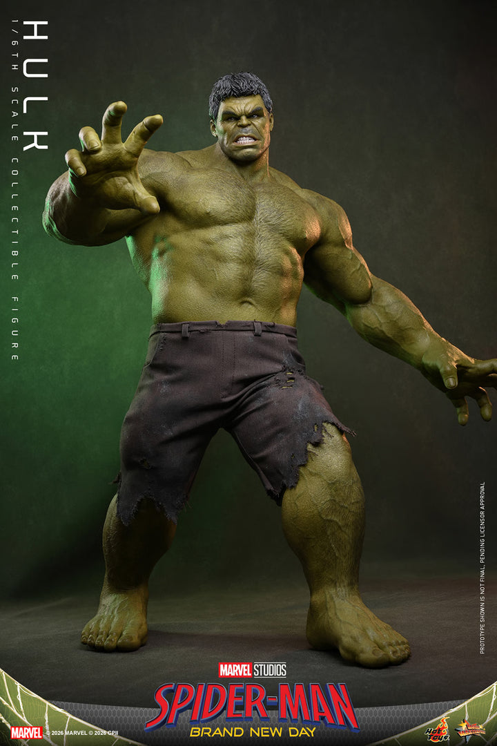 *Pre-Order* Hulk (Spider-Man: Brand New Day) Marvel Sixth Scale Figure by Hot Toys