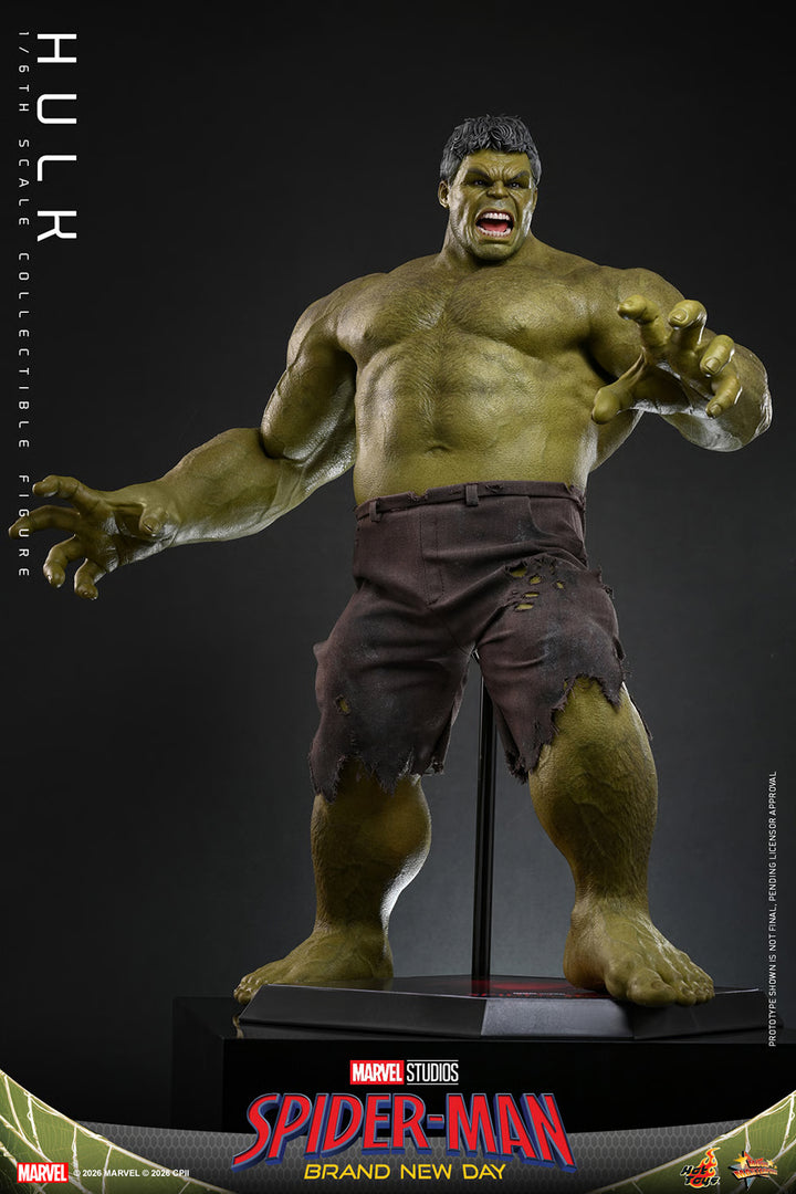 *Pre-Order* Hulk (Spider-Man: Brand New Day) Marvel Sixth Scale Figure by Hot Toys