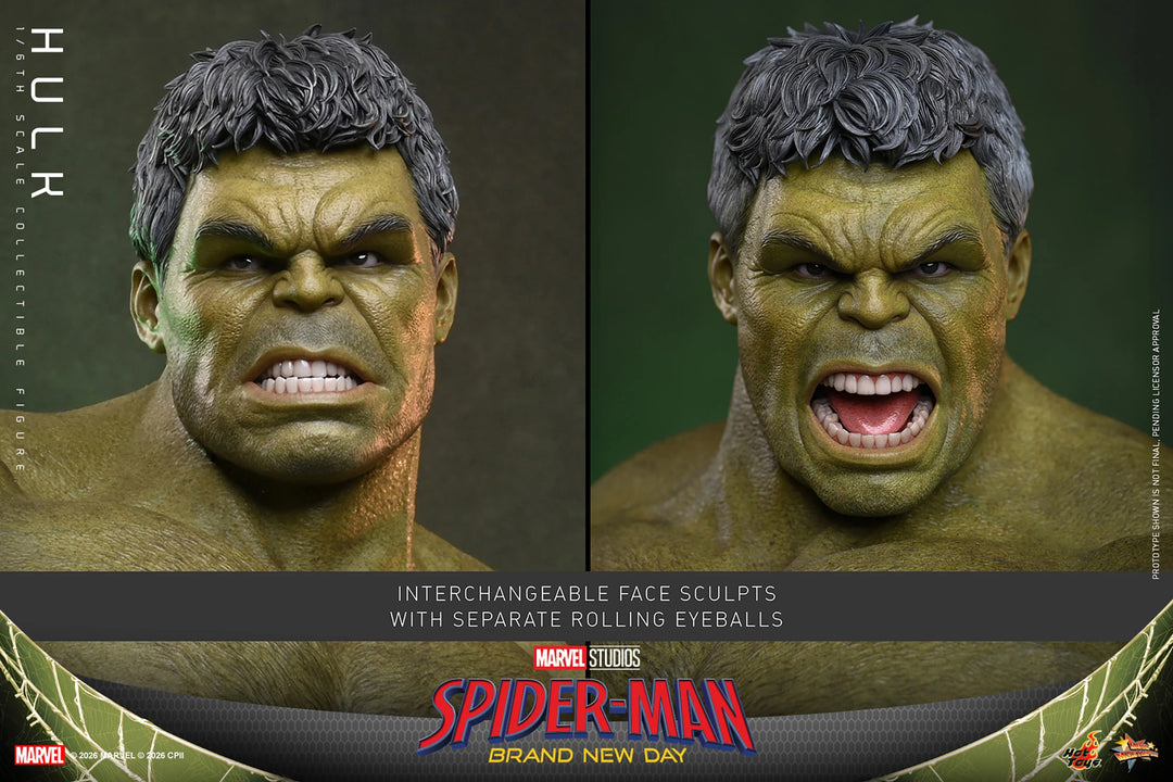 *Pre-Order* Hulk (Spider-Man: Brand New Day) Marvel Sixth Scale Figure by Hot Toys