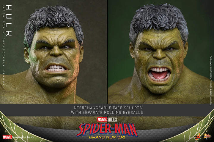 *Pre-Order* Hulk (Spider-Man: Brand New Day) Marvel Sixth Scale Figure by Hot Toys