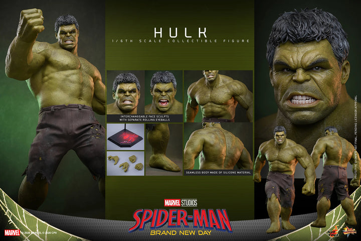 *Pre-Order* Hulk (Spider-Man: Brand New Day) Marvel Sixth Scale Figure by Hot Toys