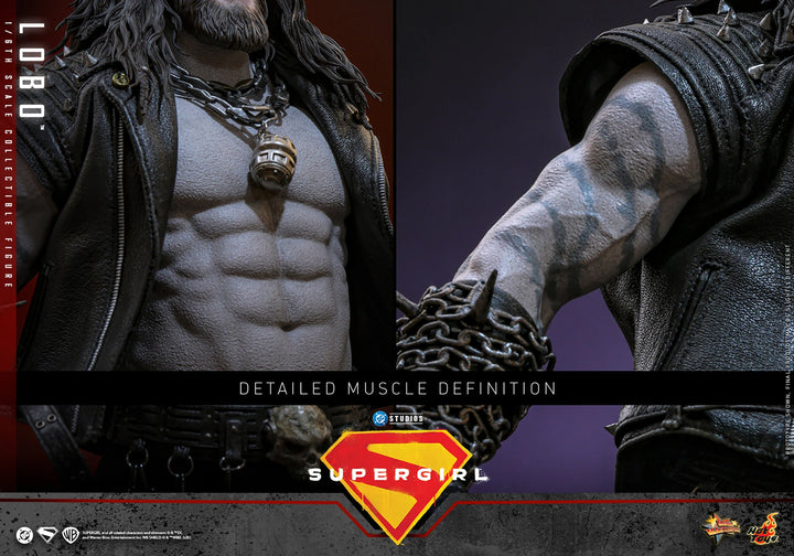 *Pre-Order* Lobo (DC Comics) Sixth Scale Figure by Hot Toys