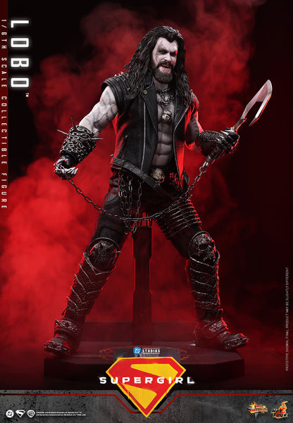 *Pre-Order* Lobo (DC Comics) Sixth Scale Figure by Hot Toys