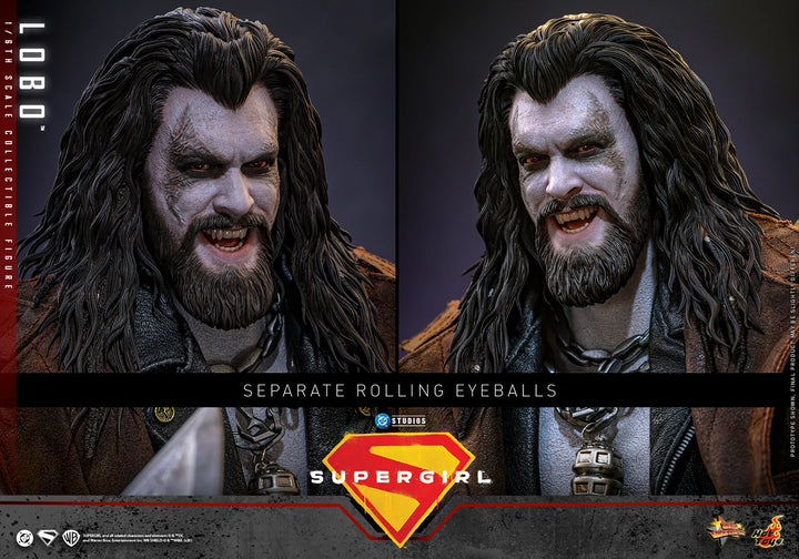 *Pre-Order* Lobo (DC Comics) Sixth Scale Figure by Hot Toys