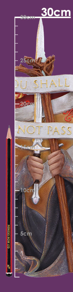 Lord of the Rings Gandalf the Grey "You Shall Not Pass" Wall Plaque