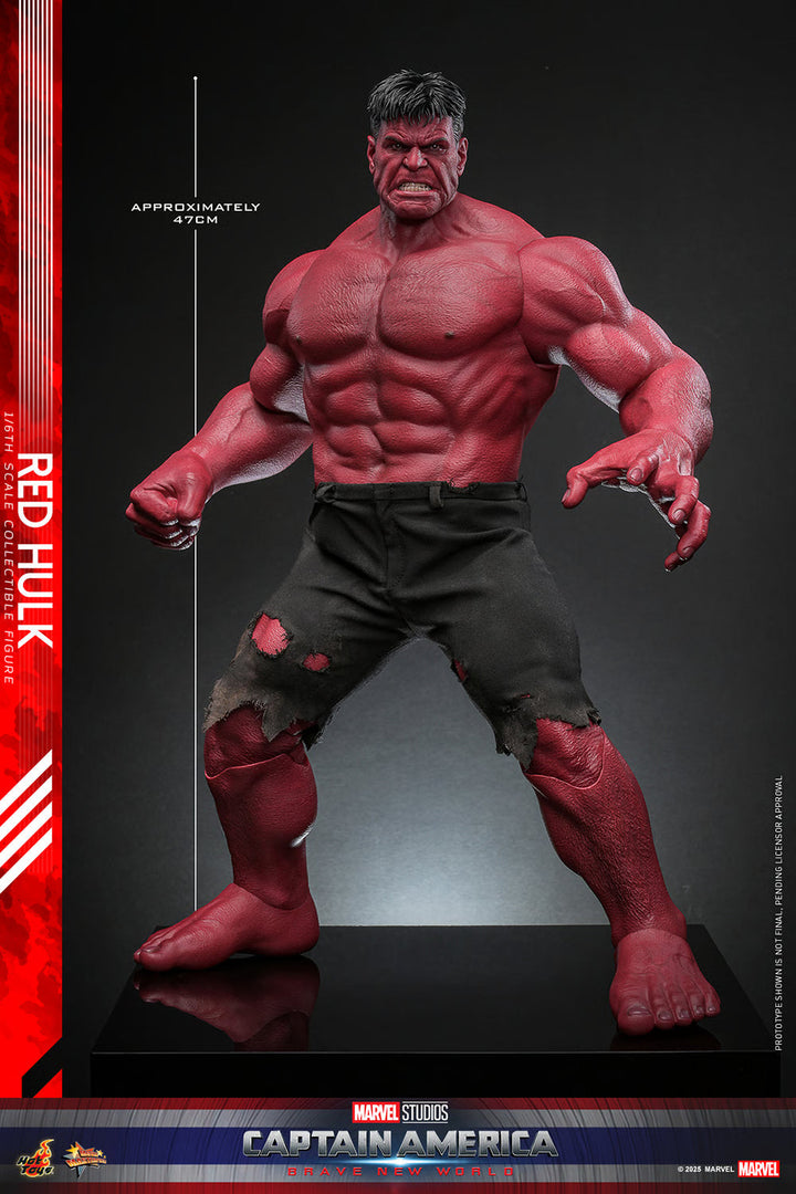 Red Hulk Marvel Sixth Scale Figure by Hot Toys