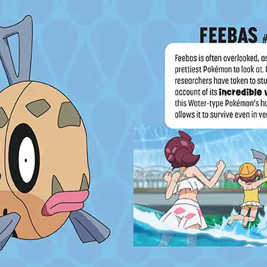 Pokémon: Trainer's Mini Exploration Guide To Hoenn